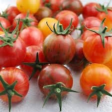 Mixed Heirloom Cherry Tomato Solanum lycopersicum for planting in urban garden